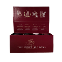 Load image into Gallery viewer, Inner Seats – Cycle Tea Set
