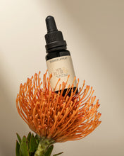 Load image into Gallery viewer, Lunar Cycle Box™
