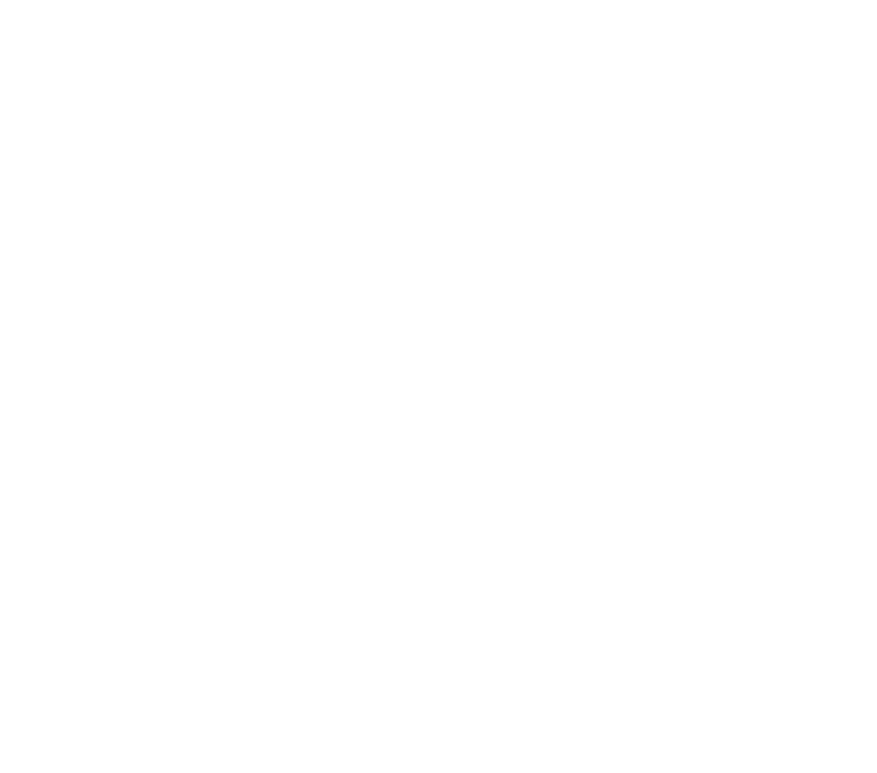 Page Transition Logo