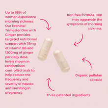 Load image into Gallery viewer, Prenatal Trimester One with Ginger
