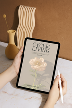 Load image into Gallery viewer, Perimenopause Cycle Box™
