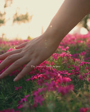 Load and play video in Gallery viewer, Master Your Cycle™ (Pre-order)
