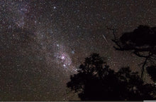 Load image into Gallery viewer, Dream
