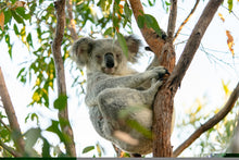 Load image into Gallery viewer, Breathe Soak
