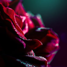 Load image into Gallery viewer, Yoni Drops
